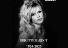 Iconische Franse actrice en zangeres Brigitte Bardot overleden