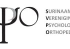 Statement Vereniging van Psychologen in reactie op meervoudige moord