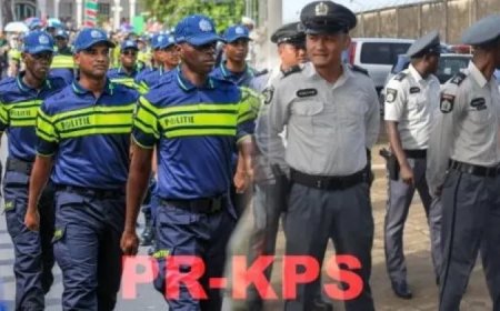 De taal van de politiekleuren – Wat een uniform vertelt 