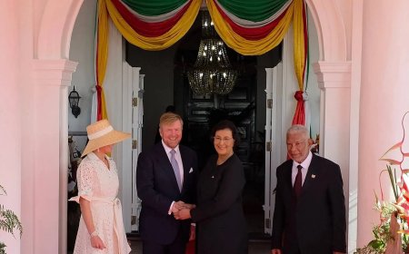 Warme ontvangst koning Willem-Alexander en koningin Maxima op presidentieel paleis