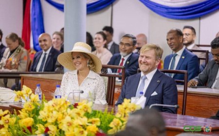 Aanwezigheid koning Willem-Alexander meer dan diplomatiek gebaar
