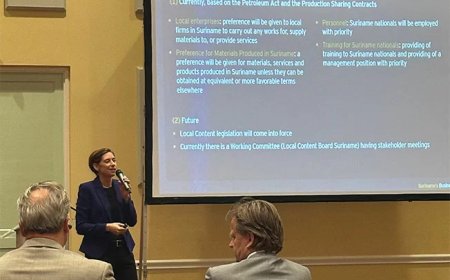 EY schetst kansen en knelpunten voor Nederlandse bedrijven in Suriname