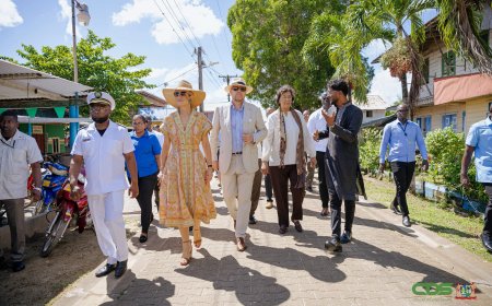 Plantageleven geschetst tijdens Koninklijk bezoek aan Johanna Margaretha en Frederiksdorp