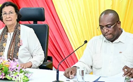 Visumprocedure moet menselijker, ticketprijzen moeten omlaag