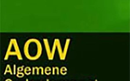 Simons: Alleen onafhankelijke rechter kan oordeel vellen over Nederlandse AOW-uitkering