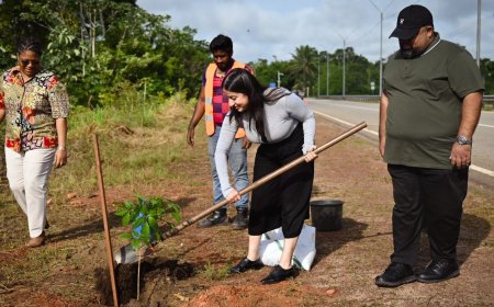 Suriname plant vijftig bomen ter ere van vijftig jaar VN-lidmaatschap