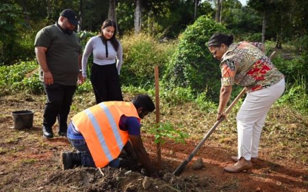 Suriname markeert 50 jaar VN-lidmaatschap met symbolische boomplantceremonie