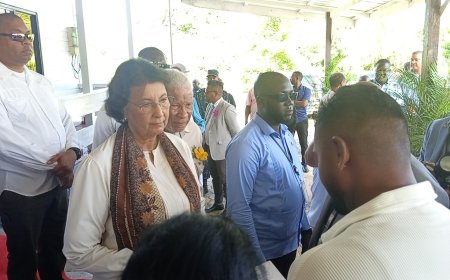 Districtsraad Commewijne biedt petitie aan over grondproblematiek