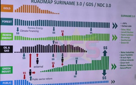 Economie moet versneld transformeren naar ‘Suriname 3.0’