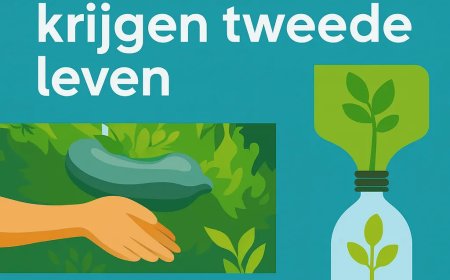 Van fles tot voedsel: Suriname hergebruikt plastic flessen voor groententeelt