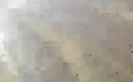 Nickeriaan eist snelle aanpak van gevaarlijke weg bij Paloma