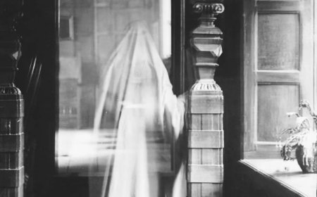 De schuldigen van toen & de leiders van nu