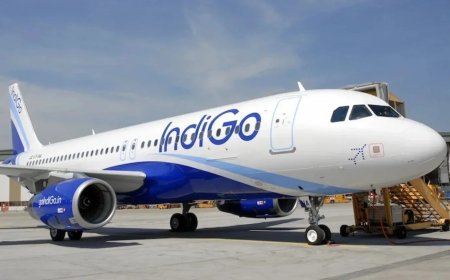 Chaos in vliegschema Indiase luchtvaartmaatschappij IndiGo van ex-KLM-baas 