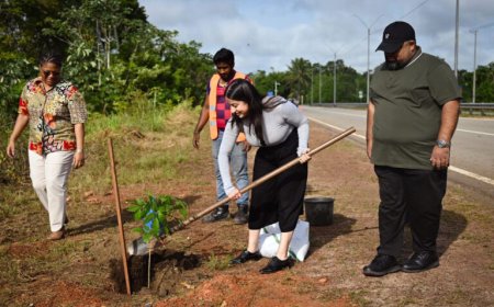 Suriname viert 50 jaar VN-lidmaatschap met Tree Planting Ceremony