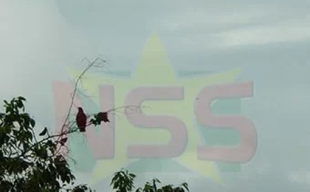 Wisselvallig weer met verspreide buien