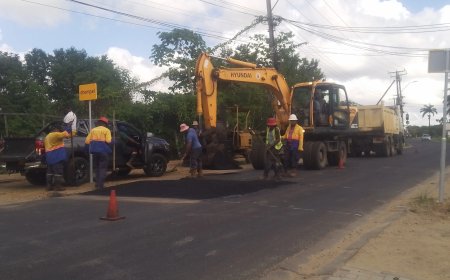 Drempels Leysweg eindelijk geplaatst: bewoners en studenten opgelucht