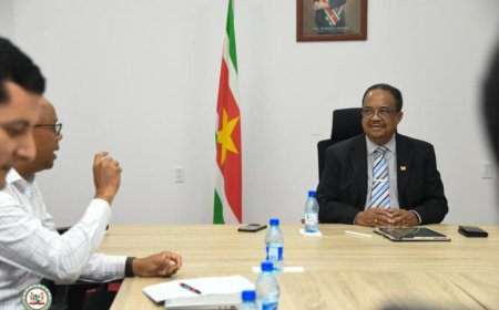 Vicepresident overlegde met IDB over duurzame versterking pensioenstelsel