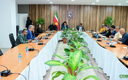 President Simons heeft positief onderhoud met veiligheidsbonden