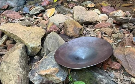 Toerismesector slaat alarm: Goudwinning bedreigt voortbestaan Brownsberg Natuurpark