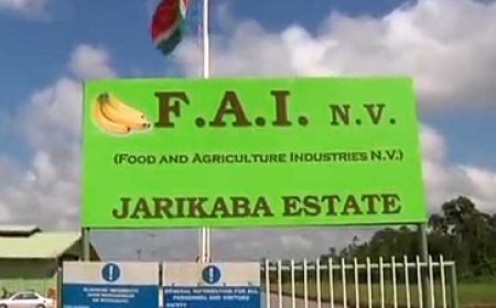 Acties bij FAI worden opgeschort; personeel wordt alvast 50% uitbetaald