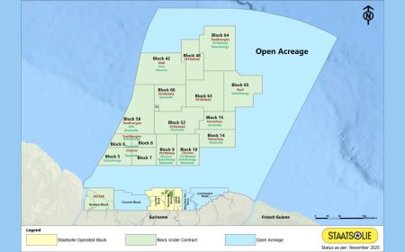 Petronas boort bemoedigende resultaten in Caiman-1-put