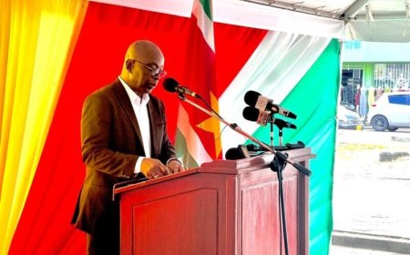 Henri Frans de Ziel Stichting pleit voor instelling van een Nationale Raad voor Cultuur