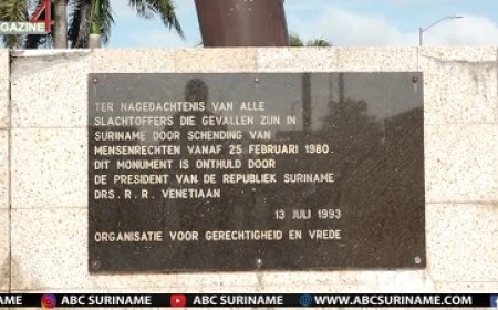 OGV vraagt regering aandacht voor alle mensenrechten