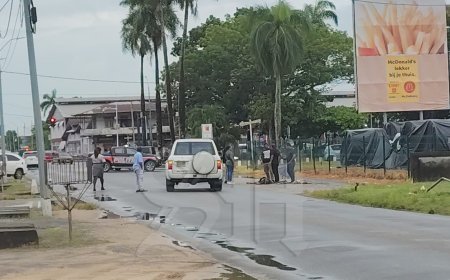 Voetganger laat het leven na aanrijding