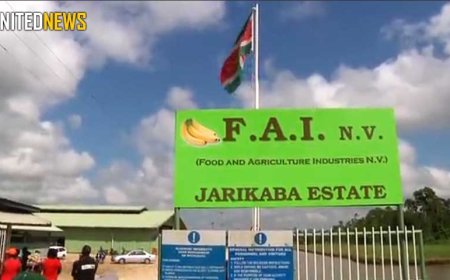 FAI-personeel krijgt alvast 50 procent loon uitbetaald; werkneerlegging opgeschort