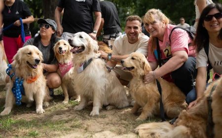 Opmerkelijk – 2397 golden retrievers bij elkaar in Argentijns park