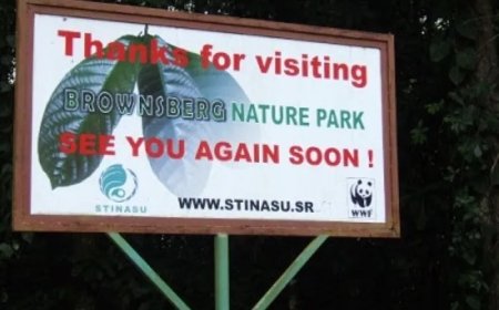 Toerismesector is jaren te laat met gejammer en alarm over teloorgang Brownsberg Natuurpark