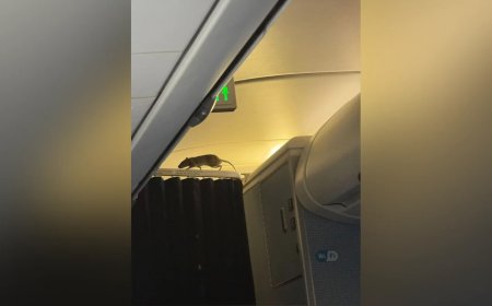 Ruim 250 reizigers vast op Aruba en Bonaire na annulering KLM-vlucht door rat in vliegtuig