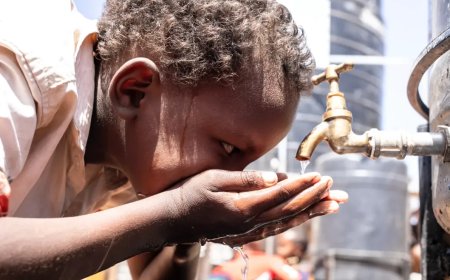 Hogere tarieven, diepere armoede: De onzichtbare tol van IMF-druk op staatsbedrijven