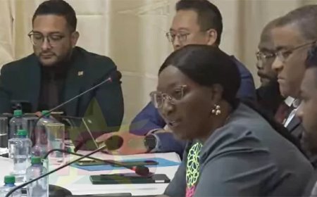 Minister Pokie: Georganiseerd patroon misstanden rond Moni Karta