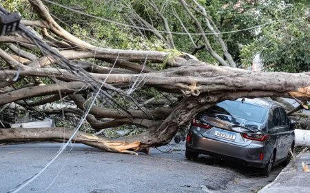 Honderden vluchten geannuleerd door stroomuitval: 1,4 miljoen mensen in Brazilië zonder stroo