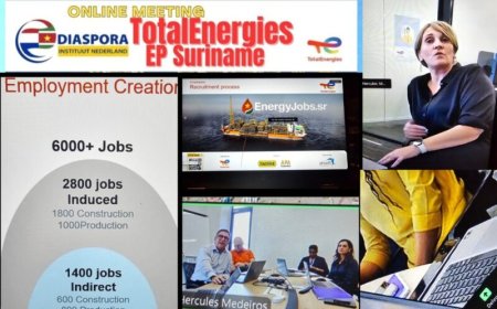 Grote internationale belangstelling voor DIN-webinar over TotalEnergies en Makandra-project