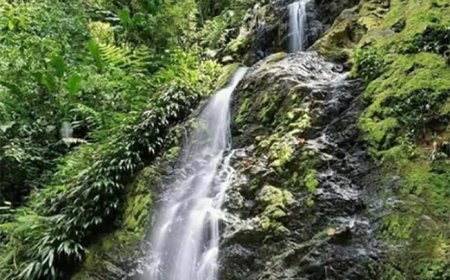 Aanpak illegale goudwinning Brownsberg grote uitdaging voor regering