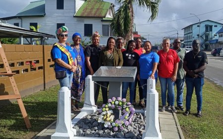 Kranslegging bij gedenkplaat Lieve Hugo op Nationale Dag van Kaseko