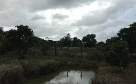 Nieuwe wet moet Surinaams natuurbeheer moderniseren