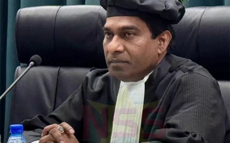 Hofpresident Rasoelbaks geïnformeerd over opname derde instantie in Grondwet