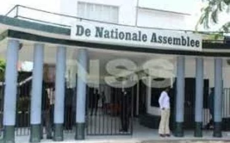 DNA: Maandag benoeming commissies van rapporteurs 8 wetten