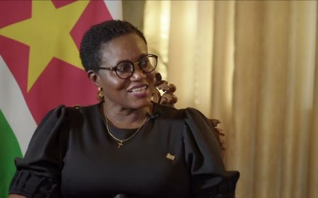 Minister Wijnerman onthoudt zich van oordeel over uitspraken SEOB