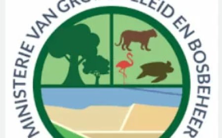 Overheid scherpt aanpak illegale goudwinning in Brownsberg aan