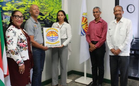 Suriname wordt regionale hub voor Caribische havens