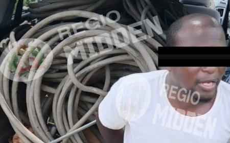 Zwaarbeladen voertuig met vermoedelijk gestolen kabels onderschept op Martin Luther Kingweg