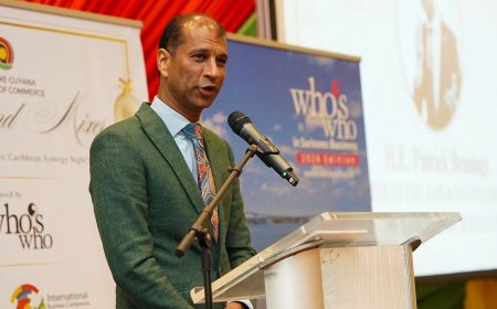 Minister Brunings herhaalt oproep voor Corantijnbrug tussen Suriname en Guyana  