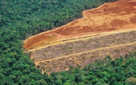 Waar het initiatiefvoorstel Wet Duurzaam Natuurbeheer tekortschiet tegenover bestaande verdra