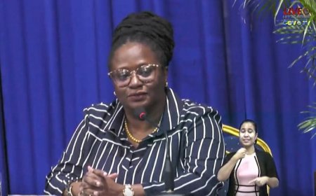 Strafeis van negen jaar blijft staan in zaak tegen Veira