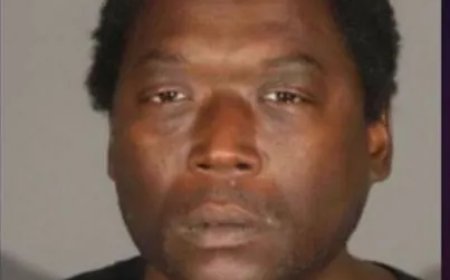 Verbannen metroreiziger krijgt levenslang na dodelijke steekpartij in Los Angeles