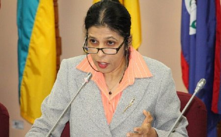 Soeknandan: “Waarom moet de pg weg omdat zij een ‘koelie’ en een vrouw is?”